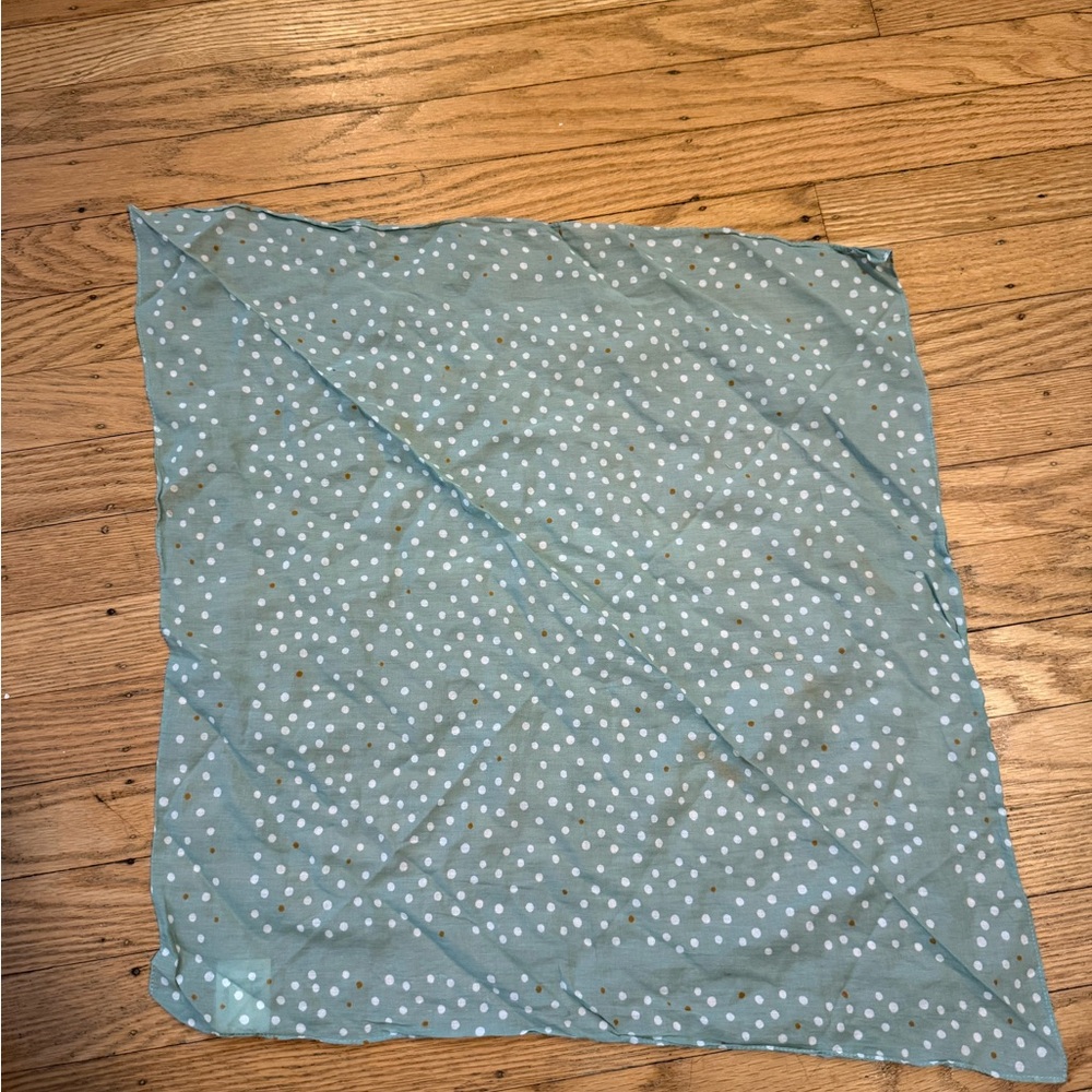 Madewell Blue Polka Dot Scarf
